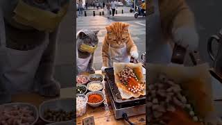 i made a interesting funny video #FUN #DOG #CAT 2
