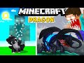 Minecraft dragon only world the kingdoms of dragon ep2