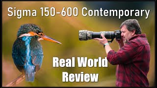 видео: Сигма 150-600 Современник. Обзор после 40 000 фотографий. Это лучший объектив? картинка: Сигма 150-600 Современник. Обзор после 40 000 фотографий. Это лучший объектив?
