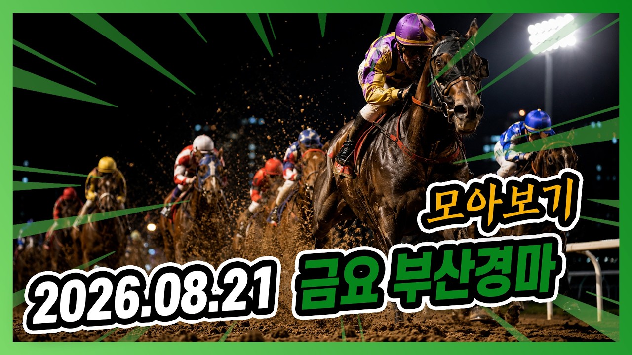 2026년 8월 21일 금요 부산경마 전체경주 모아보기
