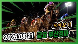 Busan Friday Horse Racing Highlights - August 21, 2026