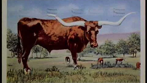 National Lampoon's Vacation Reunion opening credits