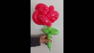 Balloon Rose