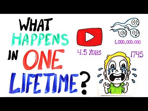 What Happens In One Lifetime?