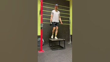 Single Arm DB Suitcase Box Step Up