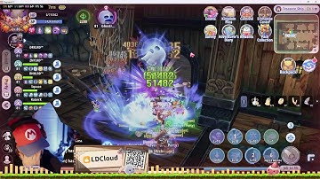 ROX Global – Late MVP Grind | SINX + BONK WS/HP Grind Session