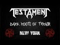 Testament - D.N.R. (Live in New York, 2013) [Remastered]