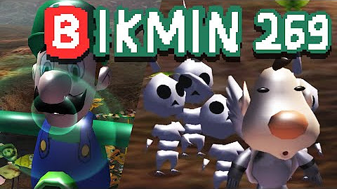 www.youtube.com