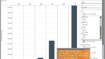 FX Exposure Data Visualization