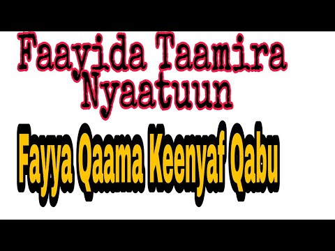 Benefits Of Tmir For Our Health Faayida Tamirii Fayya Keenyaf Qabu Mamtech