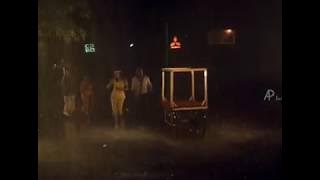 Paayum Pulli - Pothu Kittu Song