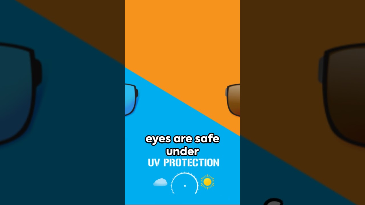 Shady Paws: Stylish Pet Sunglasses! 