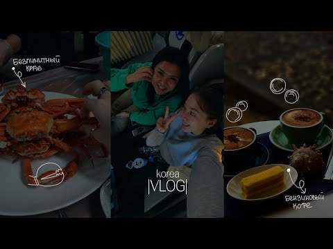 Видео: KOREA VLOG| куда поехать в корее 2ч., Сокчо, крабовый мукбанг, путешествие #кореявлог #учебавкорее