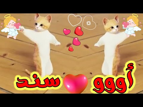 اغنية سند حبيبي اغنية باسم سند السعودية الكويت ابوظبي تركيا العراق قطر لبحرين الجزائر لرياض جده دبي