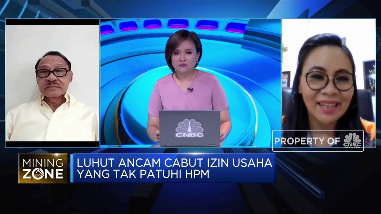 Pengusaha Tambang Smelter Buka Suara Soal Dilema Hpm Nikel 