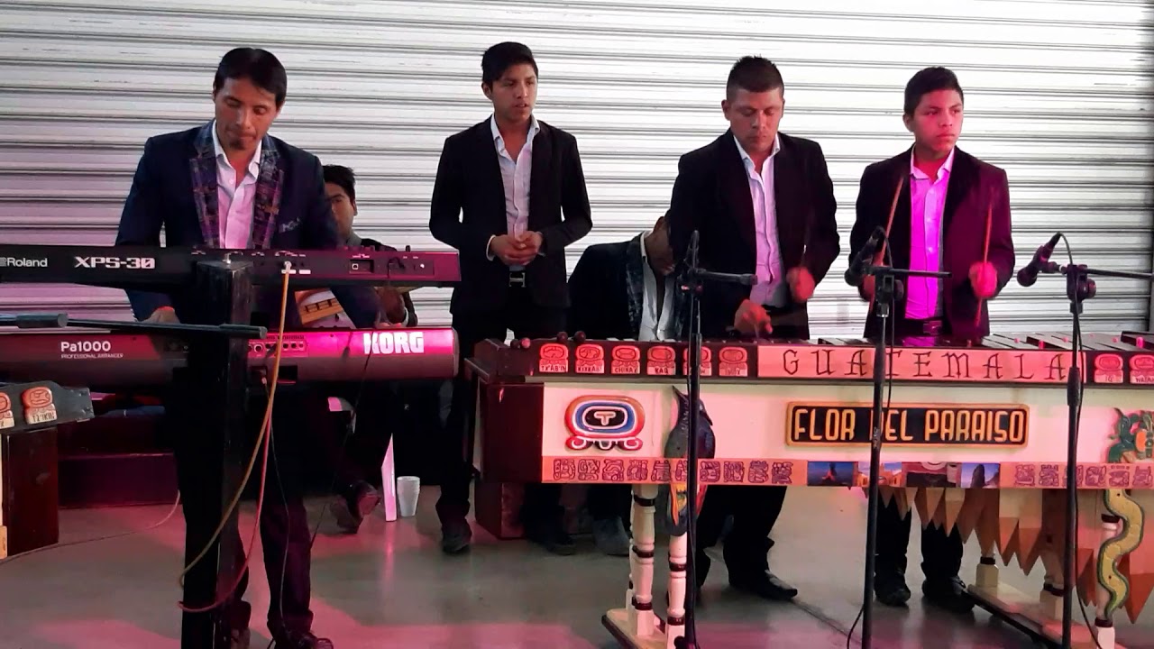 Marimba flor del paraíso de nuevo en el parque de la industria 23 de