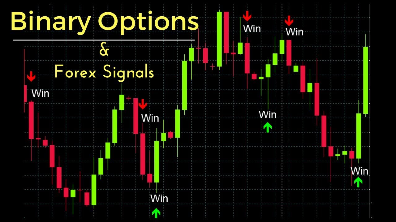 Binary or forex forex trading systems