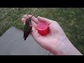 Middle of video