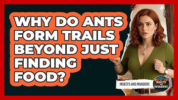 Why Do Ants Form Trails Beyond Just Finding Food? - Insects and Invaders