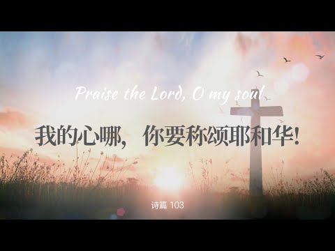 诗篇 103