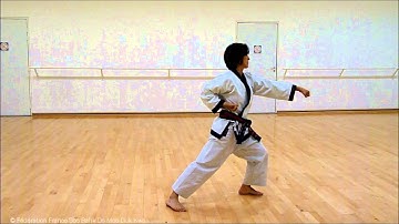 Pyung Ahn Cho Dan hyung