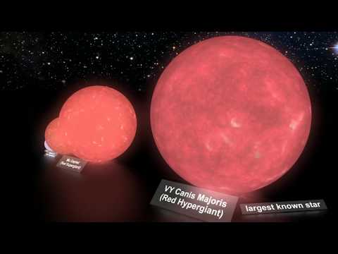 The biggest star - VY Canis Majoris