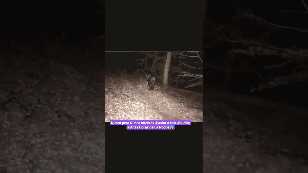 Se encuentra con Bruja en el Bosque 🙀 #paranormal #vampiro #Bruja #fantasmas