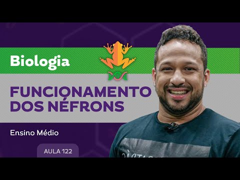 Vídeo: Em qual local do néfron?