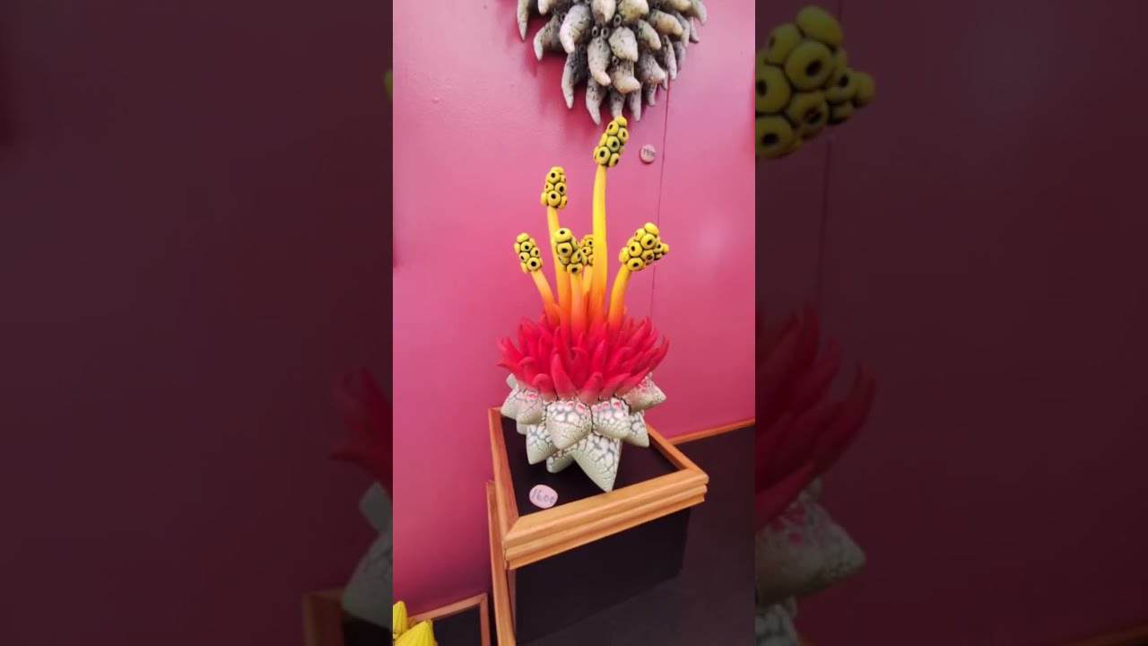 WINTER PARK SIDEWALK ART FESTIVAL 