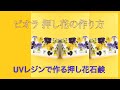 ビオラ 押し花の作り方  UVレジンで作る押し花石鹸