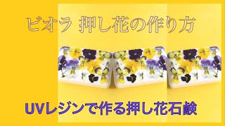 ビオラ 押し花の作り方  UVレジンで作る押し花石鹸