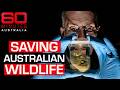 How cloning could be the solution for saving endangered animals | 60 Minutes Australia