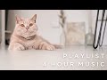 [ Playlist ] 明るく穏やかな気持ちで一日を始められる４時間の音楽🌞✨