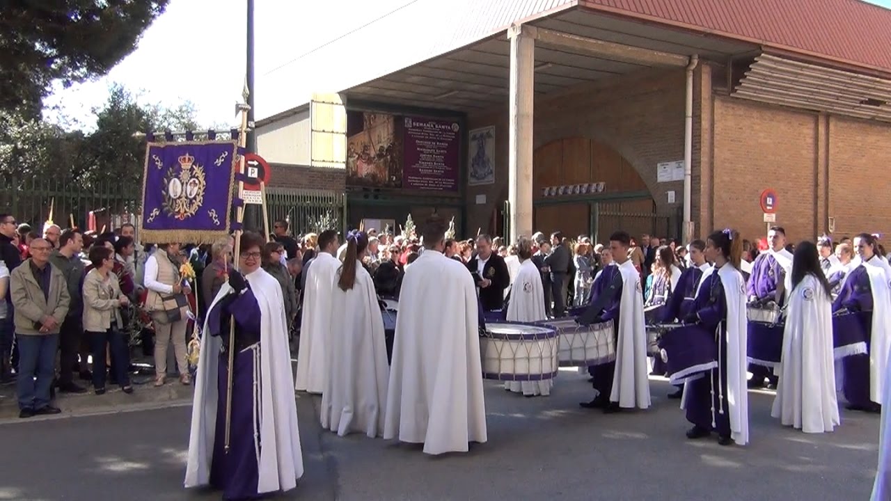 Semana Santa de Zaragoza 2017 – Domingo de Ramos – Cofradía de la Llegada de Jesús al Calvario