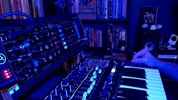 Behringer Model D  Filters