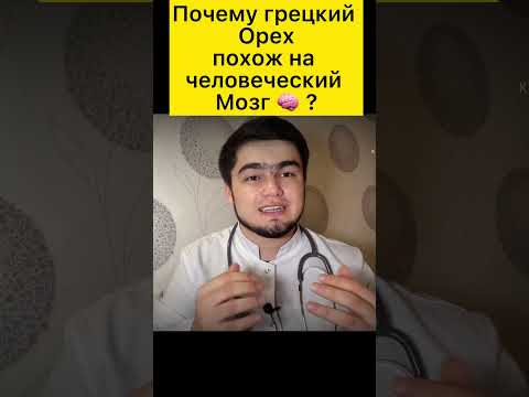 Грецкий орех похож на человеческий мозг, как думайте это совпадение ?🧑‍⚕️ #медицина #хирург