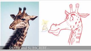 Drawing from Reference | Animal character design | drawing cartoons