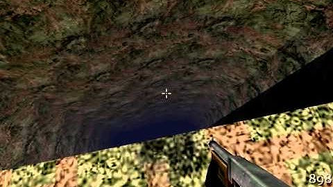 Return to castle Wolfenstein bug