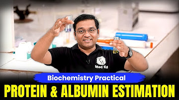 Biochemistry Practical | Protein & Albumin Estimation Explained Step by Step 🧪