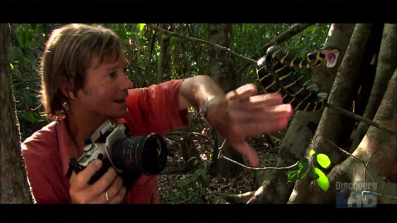 Austin Stevens - Snakemaster - In Search of the Flying Snake