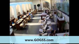 GSS - 1.3MP MINIDOME IP CAMERA (NAIL SALON)