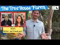    diplasts the tree house farm wellness millet ecotourism punjabtourism