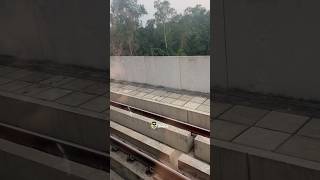 হঠাৎ থেমে গেলো মেট্রো ট্রেন! কি ঘটলো দেখুন