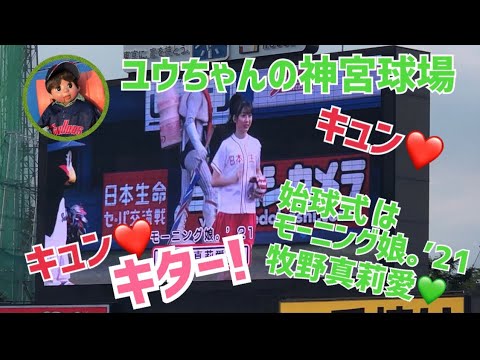 ユウちゃんの神宮球場　始球式はモーニング娘。’21 牧野真莉愛さんつば九郎のモーニング娘。ダンスも笑笑