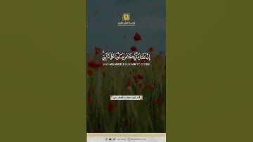 تلاوة الشيخ سعد الغامدي