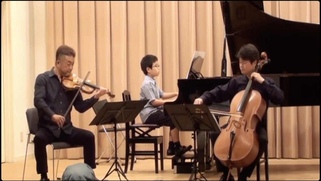 Vanhal Piano Trio / ヴァンハル ピアノトリオ 全楽章