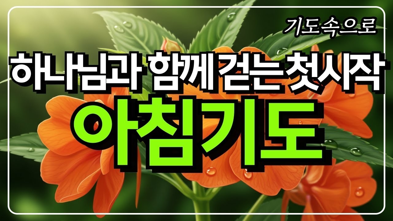 하나님과 함께 걷는 첫시작 ㅣ 아침기도 ㅣ 아침을 여는 기도 ㅣ 하루를 시작하는 기도  ㅣ 기도속으로