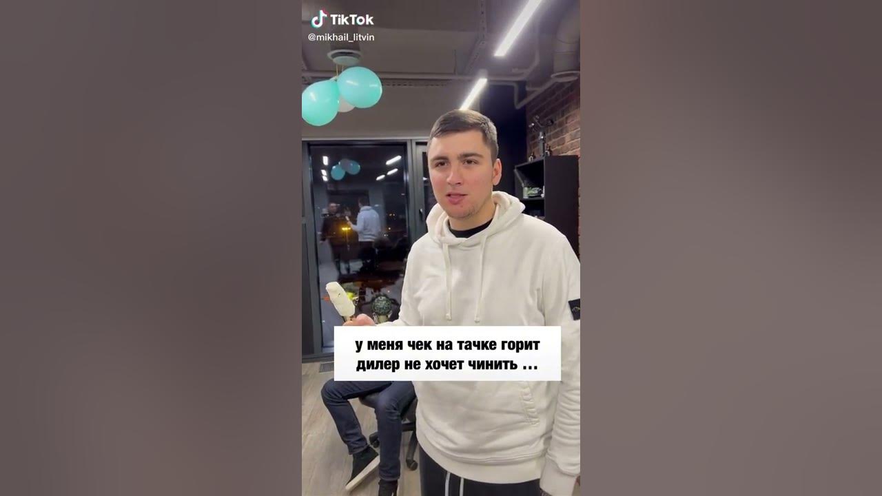 Михаил Литвин мерин
