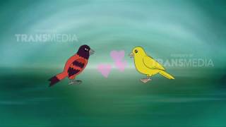 DUNIA BINATANG - BURUNG CANTIK DAN CERDIK (8/5/17) 3-2
