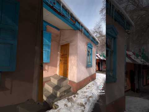 Видео: Старый дом, где жили академики